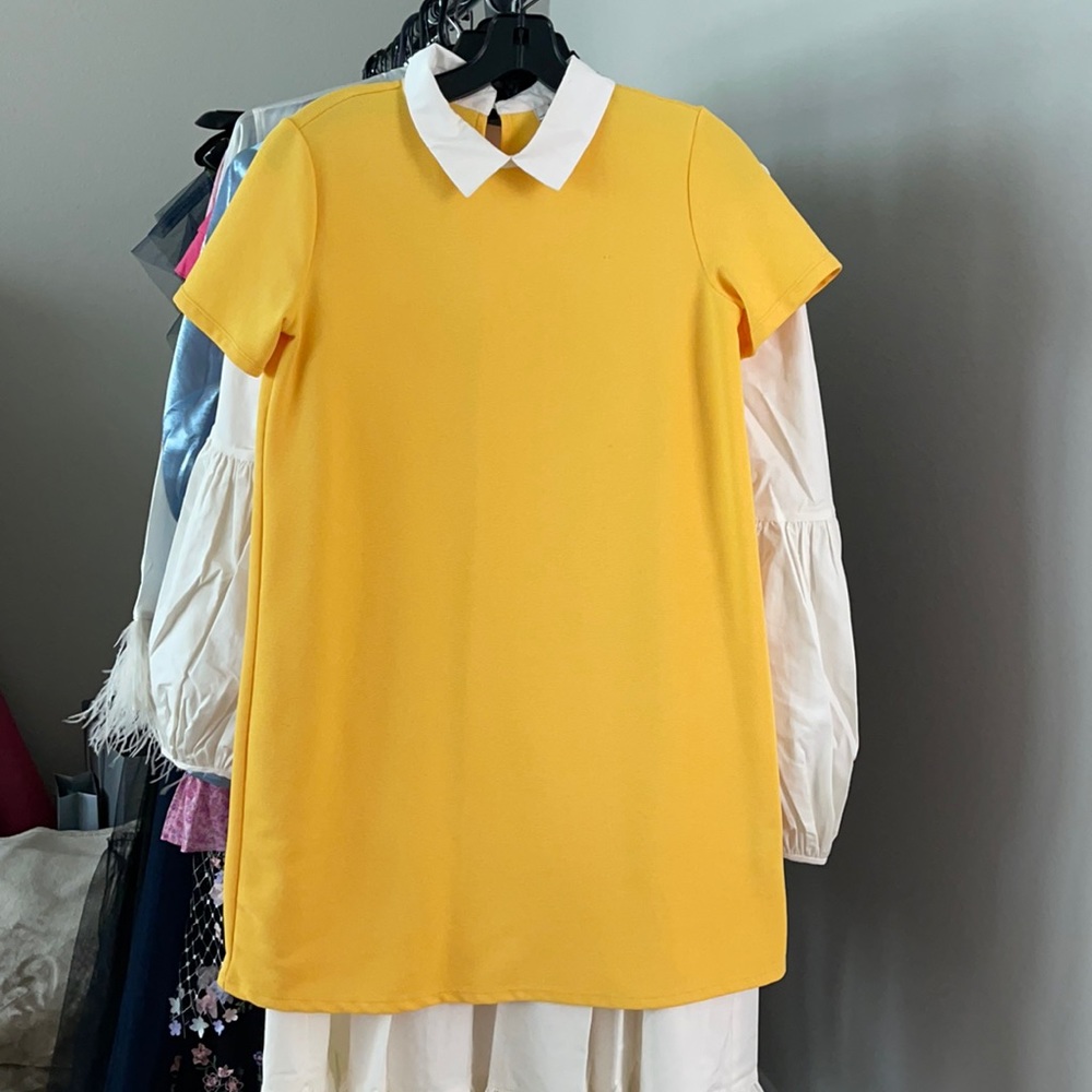 Zara dress